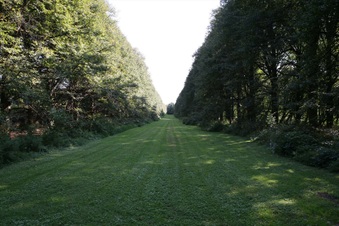 Enlarge photo 120