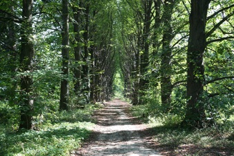 Enlarge photo 123