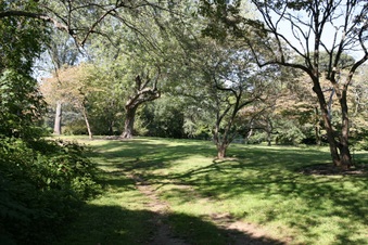 Enlarge photo 124