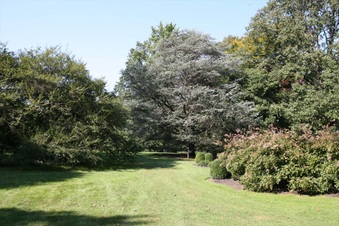 Enlarge photo 125