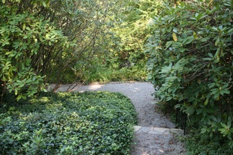 Enlarge photo 127