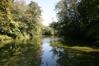 Enlarge photo 129