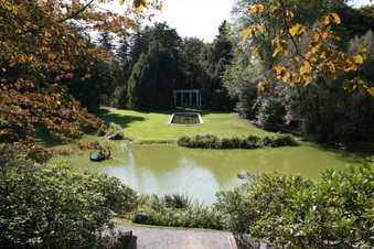 Enlarge photo 135
