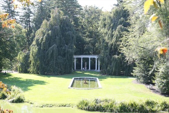 Enlarge photo 136