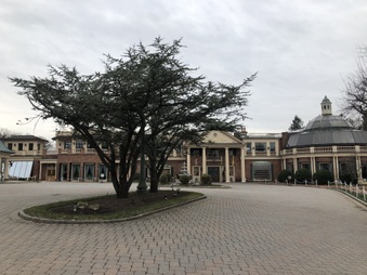 THE MANOR 3/12