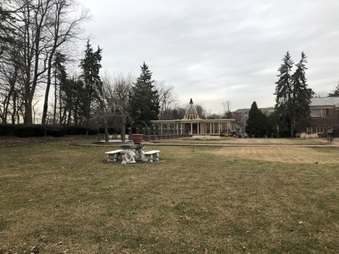 Enlarge photo 45