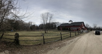 Enlarge photo 73