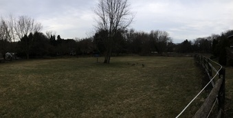 Enlarge photo 65