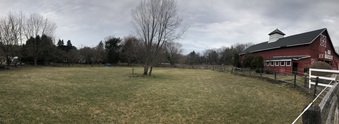 Enlarge photo 49