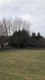 Enlarge MPEG4 47