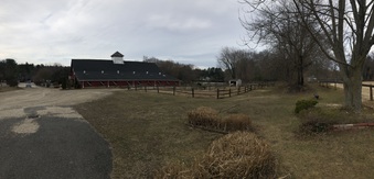 Enlarge photo 42