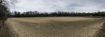 Enlarge photo 41