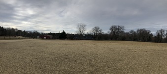Enlarge photo 40