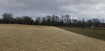 Enlarge photo 39