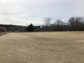 Enlarge photo 37