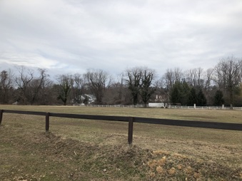 Enlarge photo 33