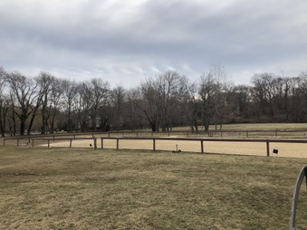 Enlarge photo 30