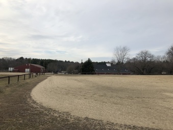 Enlarge photo 26