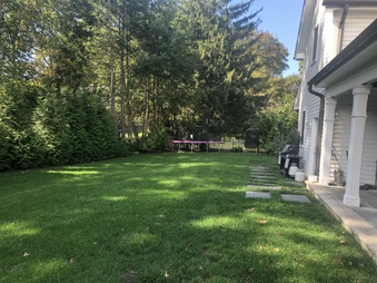 Enlarge photo 35