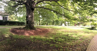Enlarge photo 43