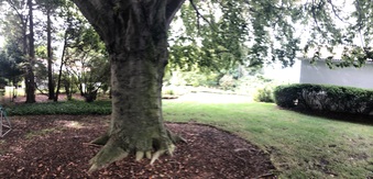 Enlarge photo 45