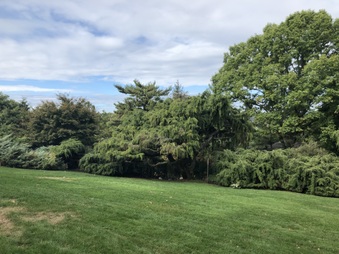 Enlarge photo 57