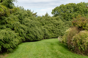 Enlarge photo 19