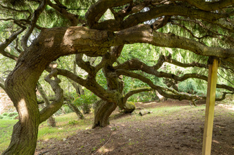 Enlarge photo 24