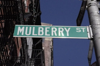 Mulberry Street