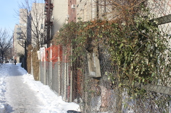 Enlarge photo 37
