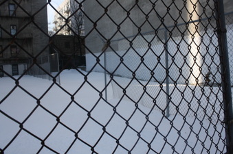 Enlarge photo 41
