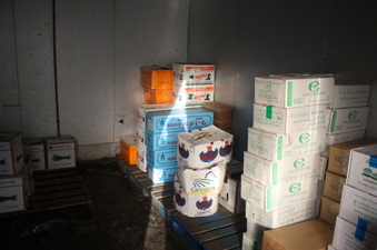 Enlarge photo 21