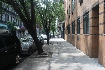 Enlarge photo 30