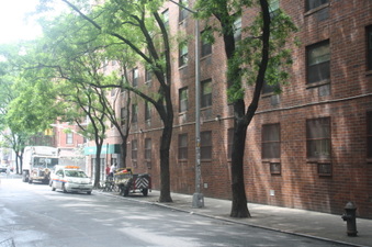 Enlarge photo 38