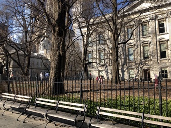 Enlarge photo 8