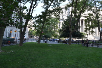 Enlarge photo 41