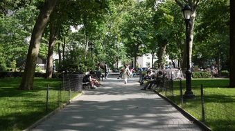 Enlarge photo 15