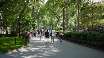 Enlarge photo 17