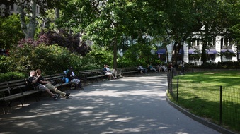 Enlarge photo 20
