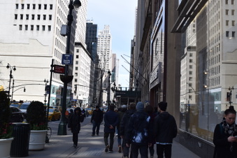 Enlarge photo 15
