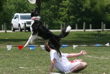 Enlarge photo 15