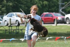 Enlarge photo 32