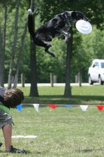 Enlarge photo 39