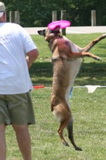 Enlarge photo 43
