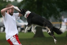 Enlarge photo 51
