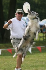 Enlarge photo 58