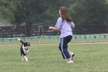 Enlarge photo 16