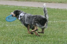 Enlarge photo 49