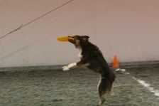 Enlarge photo 28