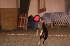 Enlarge photo 34